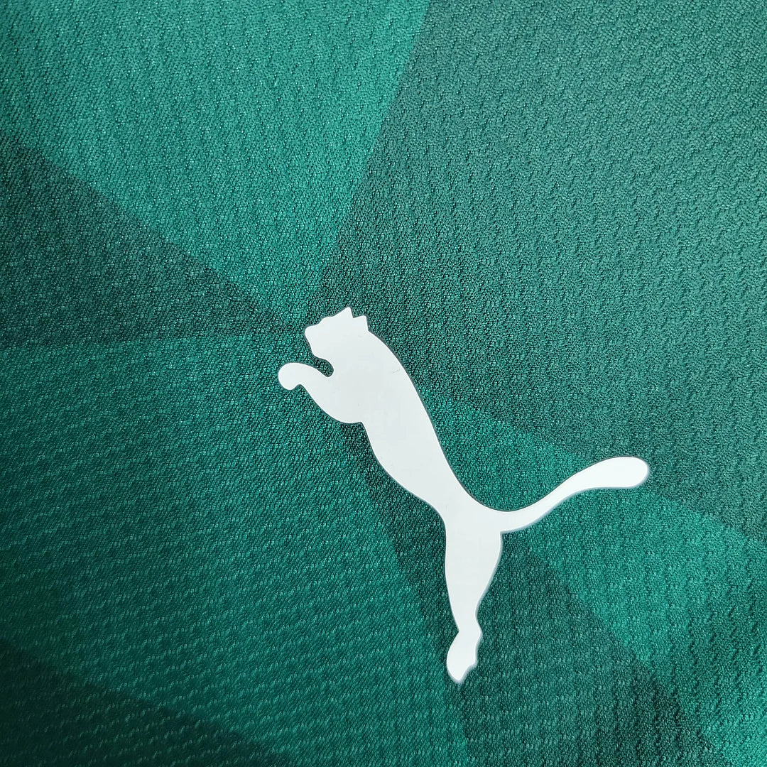 2023/2024 Palmeiras Home Football Shirt 1:1 Thai Quality