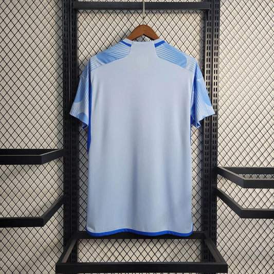 2022 FIFA World Cup Spain Away Soccer Shirt